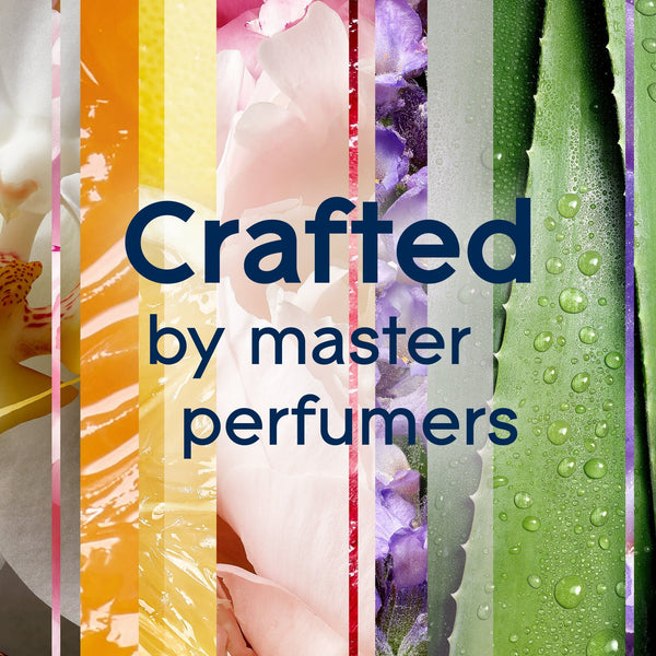 Plug-ins Scented Oil, Cashmere Woods, Fragrance Infused with Essential Oils, 5 Refills - 1 pack - plus 3 My Outlet Mall Resealable Storage Pouches