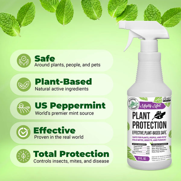 Plant Protection Pest Spray Peppermint for Spider Mites, Fungus, Insects -  2 packs - 31 oz per pack - plus 3 My Outlet Mall Resealable Storage Pouches