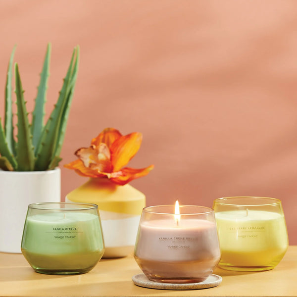 Candle Sage & Citrus Studio Collection Jar Candle - 1 pack - 10 oz per pack - plus 3 My Outlet Mall Resealable Storage Pouches