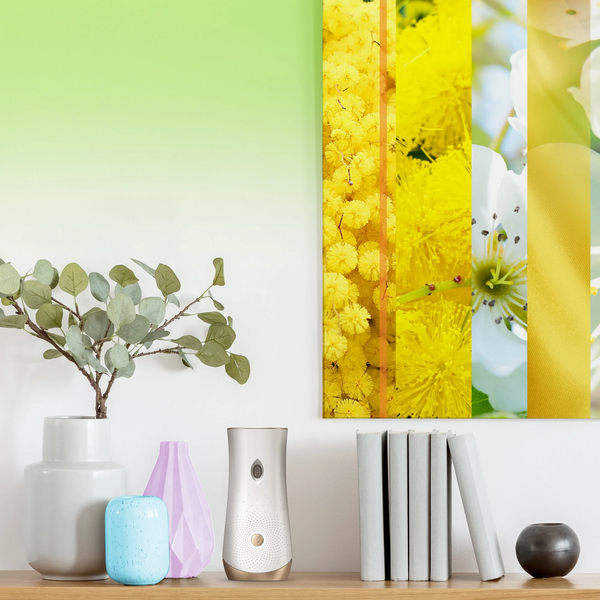 Automatic Spray Air Freshener, Radiant Bloom Limited Edition - 2 packs - 6.2 oz per pack - plus 3 My Outlet Mall Resealable Storage Pouches