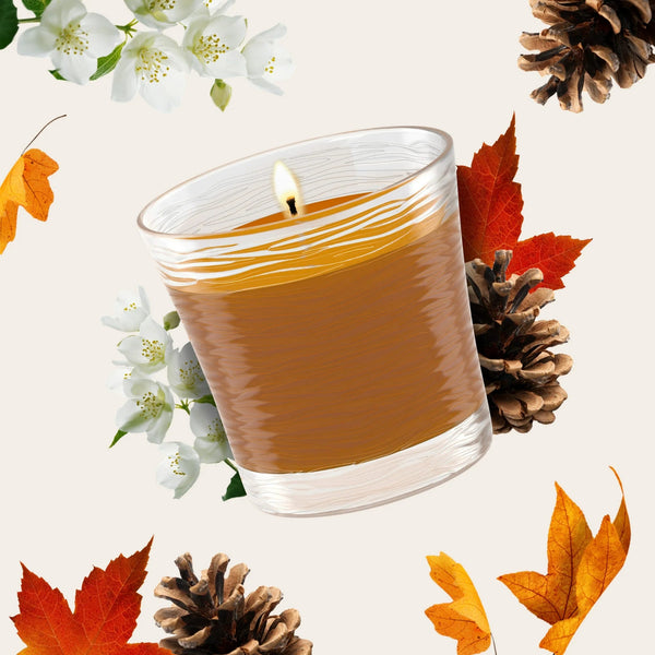Single Wick Candles, Cashmere Woods, 2 Candles - 3 packs - plus 3 My Outlet Mall Resealable Storage Pouches