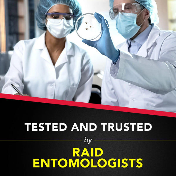 Ant & Roach Insect Count Killer, Indoor Insecticide, Residual Killing Power, Lavender Scent - 1 pack - 17.5 oz per pack - plus 3 My Outlet Mall Resealable Storage Pouches