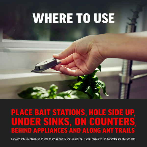 Ant Kills Ant Killer Bait Station - 2 packs - plus 3 My Outlet Mall Resealable Storage Pouches