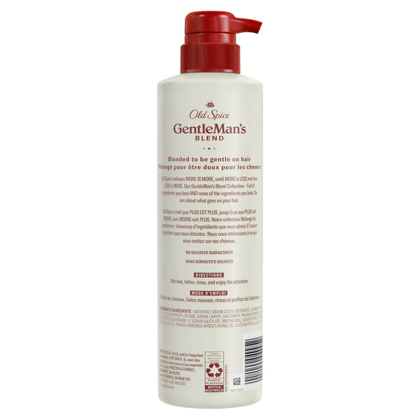 2-in-1 Men's Shampoo and Conditioner, Moisturizing Gentleman's Blend, All Hair - 1 pack - 14.8Fl oz per pack - plus 3 My Outlet Mall Resealable Storage Pouches