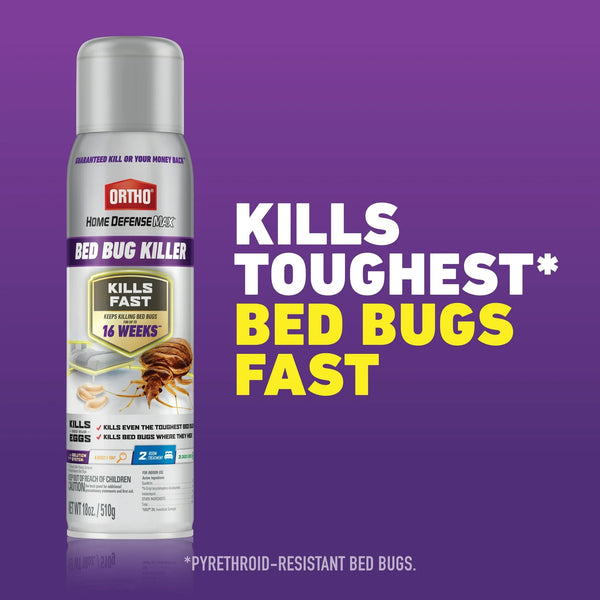 Home Defense Max Bed Bug Killer - 3 packs - 18 oz per pack - plus 3 My Outlet Mall Resealable Storage Pouches