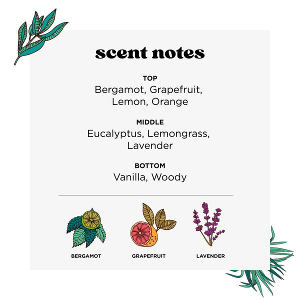 Lavender + Vanilla + Citrus Before-You-Go Toilet Spray - 2 packs - 2 oz per pack - plus 3 My Outlet Mall Resealable Storage Pouches