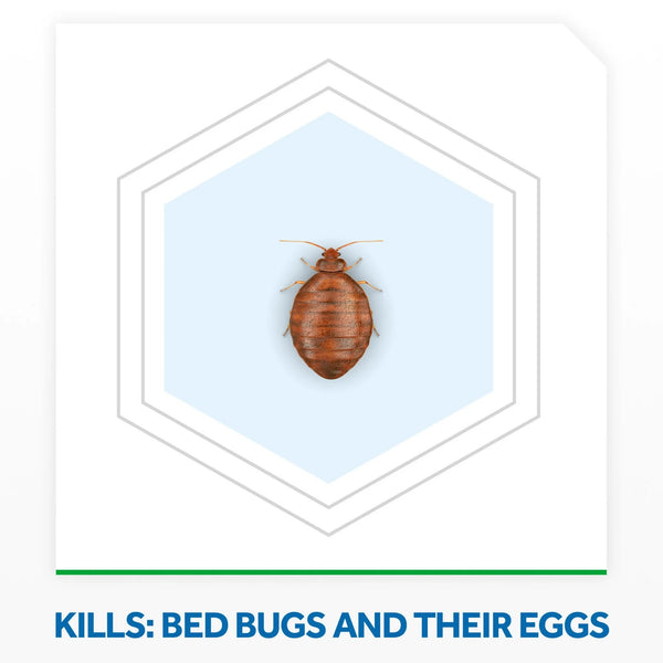 Bed Bug Killer Foaming Spray, Treatment to Kill Pyrethroid-resistant Bed Bugs - 2 packs - 16.5 oz per pack - plus 3 My Outlet Mall Resealable Storage Pouches