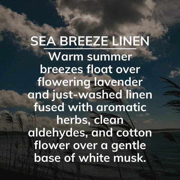 On the Go Solid Air Freshener for Auto, Sea Breeze Linen - 1 pack - 8 oz per pack - plus 3 My Outlet Mall Resealable Storage Pouches