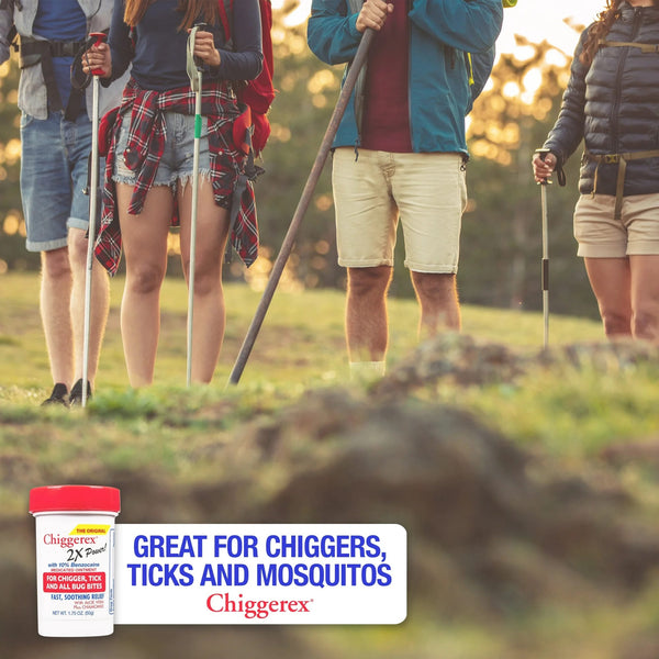 2x Medicated Ointment: Chiggers, Mosquito, Bug Bites - 1 pack - 1.75 oz per pack - plus 3 My Outlet Mall Resealable Storage Pouches