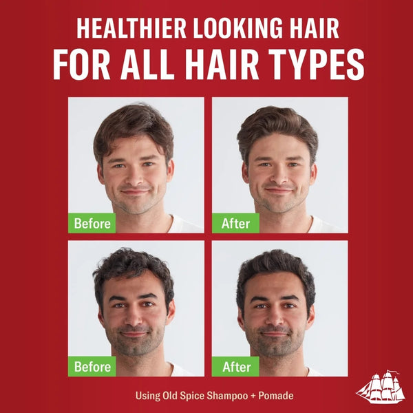 2in1 Men's Shampoo and Conditioner, All Hair Types, Fiji - 2 packs - 22Fl oz per pack - plus 3 My Outlet Mall Resealable Storage Pouches