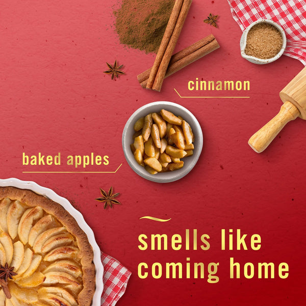 Plug In Air Freshener, Odor-Fighting Oil Refill, Baked Cinnamon Apples, 2 Refill - 1 pack - plus 3 My Outlet Mall Resealable Storage Pouches