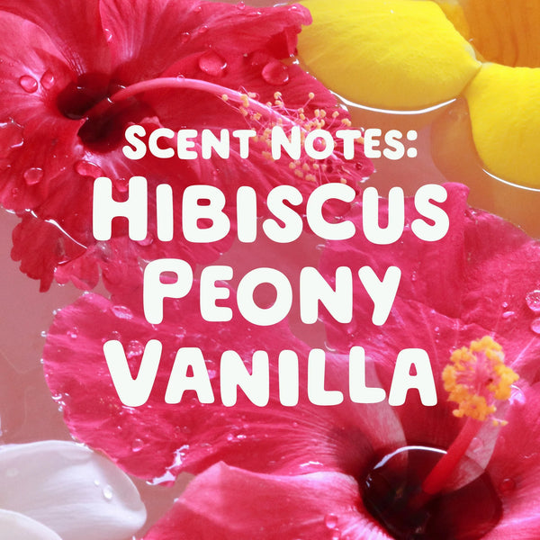 Super-Sized Flings Laundry Detergent Packs, Hibiscus Hula Scent- 2 pack - 18 countper pack - plus 3 My Outlet Mall Resealable Storage Pouches