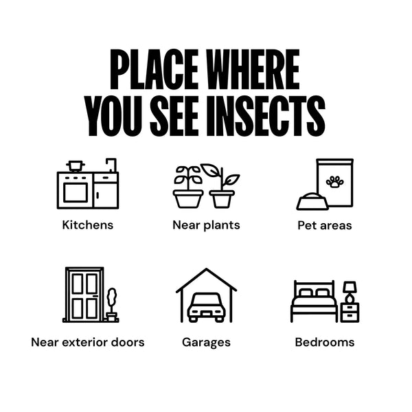 Indoor Insect Trap, White, 1 Trap, 3 Refills - 3 packs - plus 3 My Outlet Mall Resealable Storage Pouches