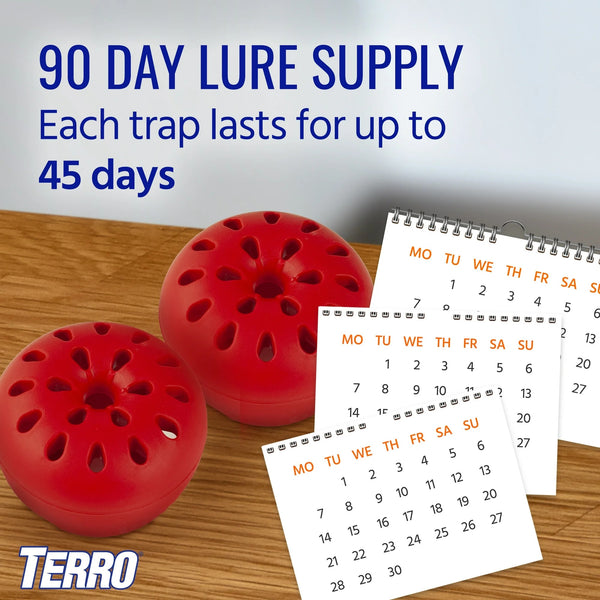 Fruit Fly Traps  - 1 pack - plus 3 My Outlet Mall Resealable Storage Pouches
