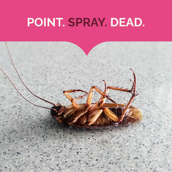 Ant, Roach & Spider Killer, Fresh Floral Scent Formula - 1 pack - 17.5 oz per pack - plus 3 My Outlet Mall Resealable Storage Pouches