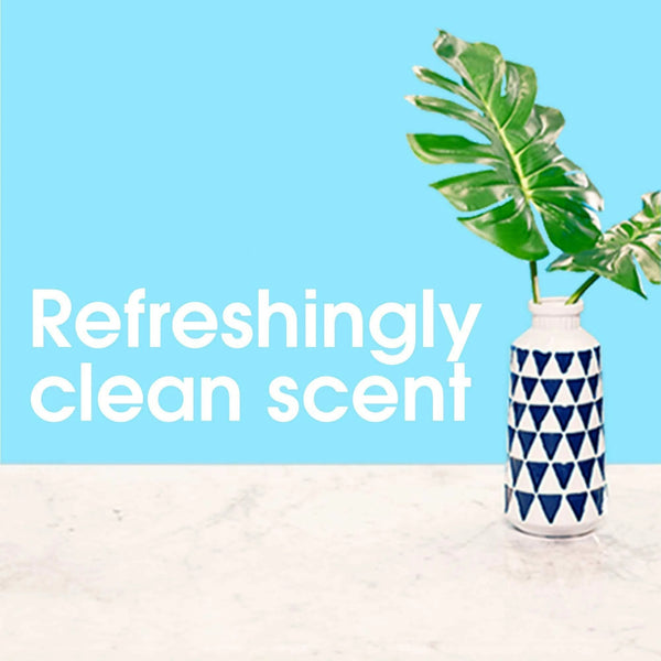 Everyday Cleaner Multi Surface Antibacterial Cleaner, Essential Cleaning Supplies, Aerosol, Fresh Citrus - 2 packs - 9.7 oz per pack - plus 3 My Outlet Mall Resealable Storage Pouches