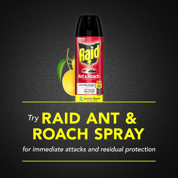 Ant and Roach Insect Killer, Aerosol Insecticide Spray, Lemon Scent - 2 packs - 17.5 oz per pack - plus 3 My Outlet Mall Resealable Storage Pouches