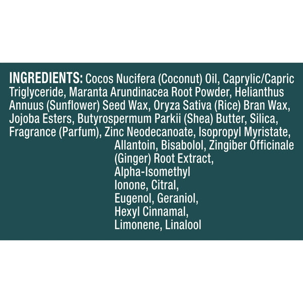 Men Whole Body Deodorant Stick for Men Ocean Rush Scent Aluminum Free - 3 packs - 3 oz per pack - plus 3 My Outlet Mall Resealable Storage Pouches