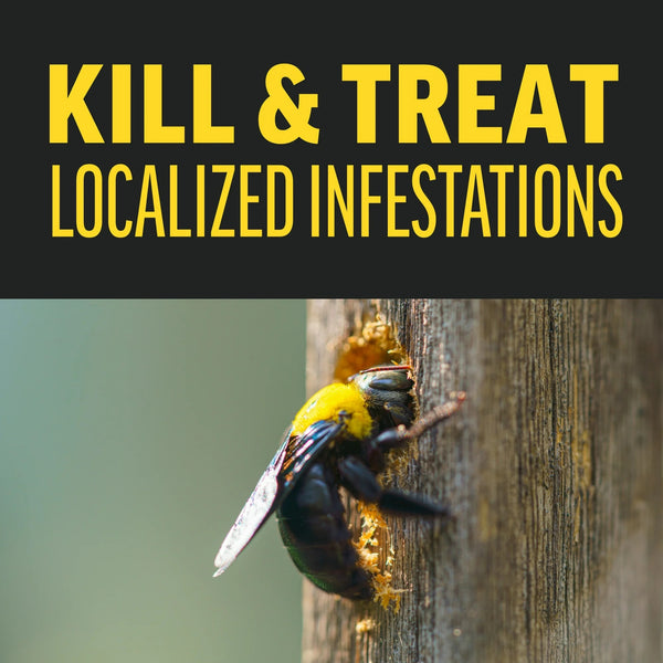 Quick Kill Carpenter Bee, Carpenter Ant & Termite Killer Foam - 1 pack - 18 oz per pack - plus 3 My Outlet Mall Resealable Storage Pouches