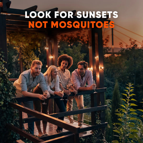 Outdoor Mosquito Fogger, Campsite Insecticide with up to 6 Hours of Protection - 3 packs - 12 oz per pack - plus 3 My Outlet Mall Resealable Storage Pouches