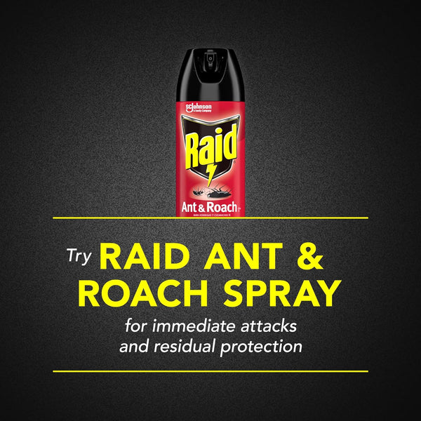 Ant & Roach Killer, Indoor Insecticide Spray, Fragrance-Free - 3 packs - 17.5 oz per pack - plus 3 My Outlet Mall Resealable Storage Pouches