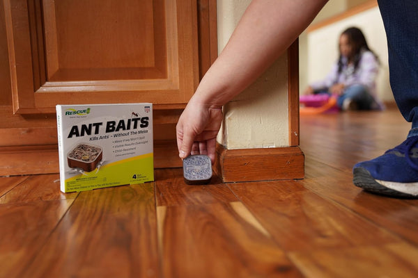 Indoor Ant Killer Child-Resistant Bait Stations - 1 pack - plus 3 My Outlet Mall Resealable Storage Pouches
