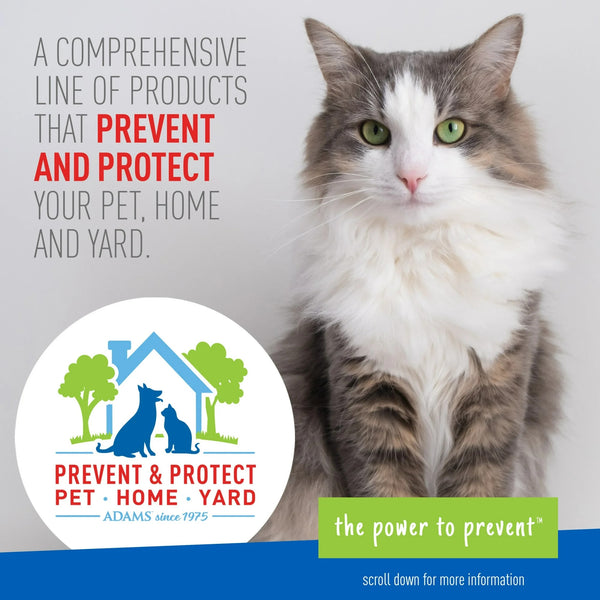 Yard & Garden Spray, Kills Mosquitoes, Fleas, Ticks & Other Outdoor Pests - 1 pack - 32 fl oz per pack - plus 3 My Outlet Mall Resealable Storage Pouches