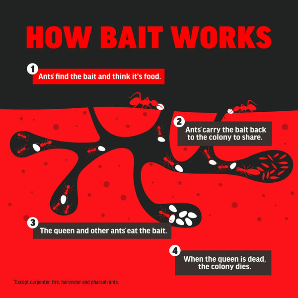 Ant Kills Ant Killer Bait Station - 2 packs - plus 3 My Outlet Mall Resealable Storage Pouches