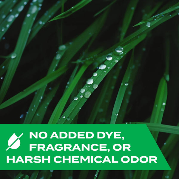 Indoor and Outdoor Ants, Roaches and Spiders Insect Killer Bug Spray - 3 packs - 10 oz per pack - plus 3 My Outlet Mall Resealable Storage Pouches