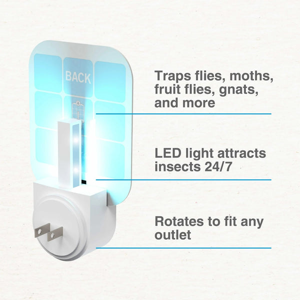 Indoor Fly Trap, 1 Trap, 2 Glue Cards - 1 pack - plus 3 My Outlet Mall Resealable Storage Pouches