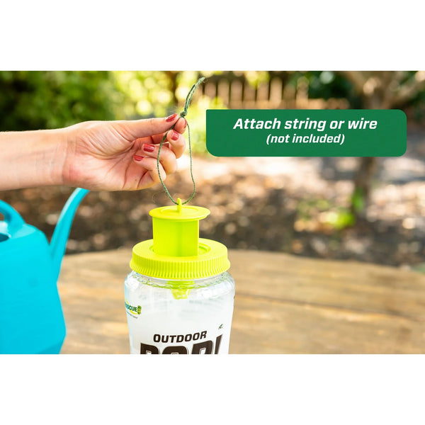 Pop! Reusable Outdoor Fly Trap, Resin -1 pack - plus 3 My Outlet Mall Resealable Storage Pouches