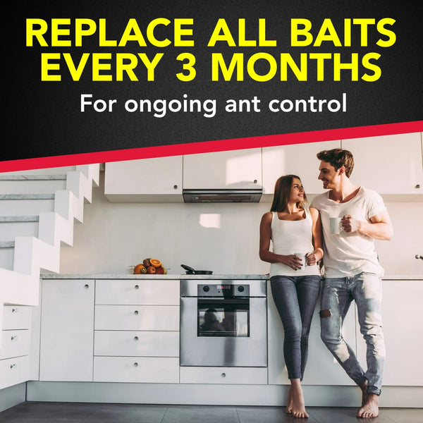 Ant Baits Indoor Ant Insect Killer Traps, Stocking Stuffers - 3 packs - plus 3 My Outlet Mall Resealable Storage Pouches