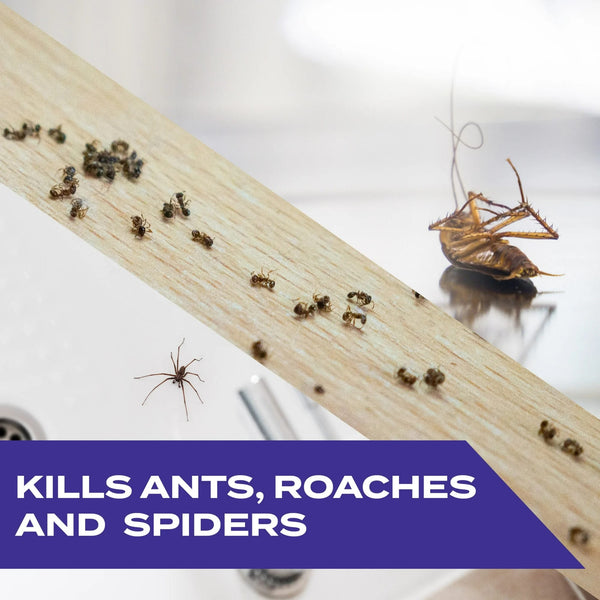Indoor and Outdoor Ants, Roaches and Spiders Insect Killer Bug Spray - 3 packs - 10 oz per pack - plus 3 My Outlet Mall Resealable Storage Pouches