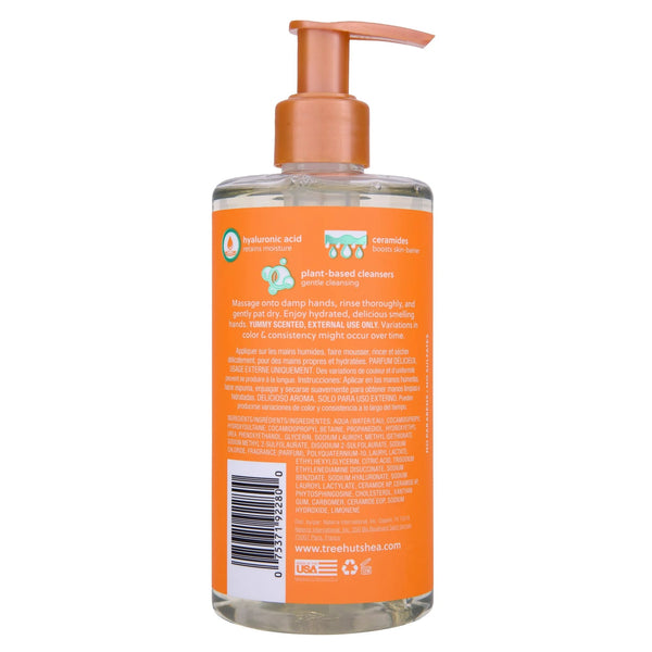 Tangerine Serum-Infused Hand Wash - 1 pack - 11 fl oz per pack - plus 3 My Outlet Mall Resealable Storage Pouches