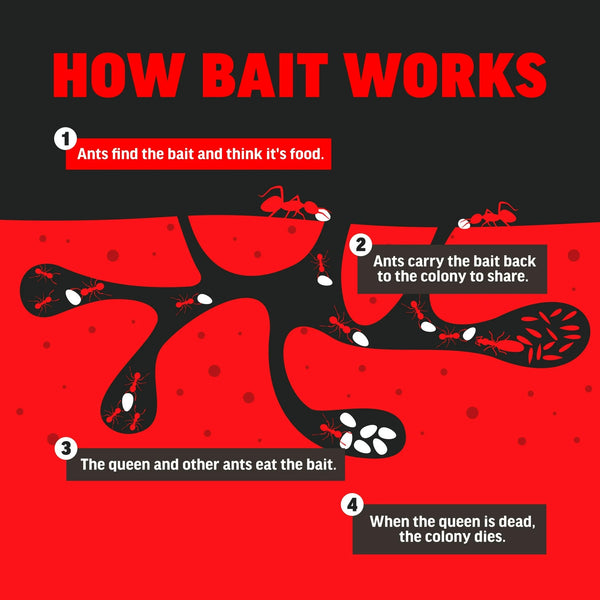 Ant Block Home Perimeter Insect Killer Bait, Powder - 1 pack - 24 oz per pack - plus 3 My Outlet Mall Resealable Storage Pouches