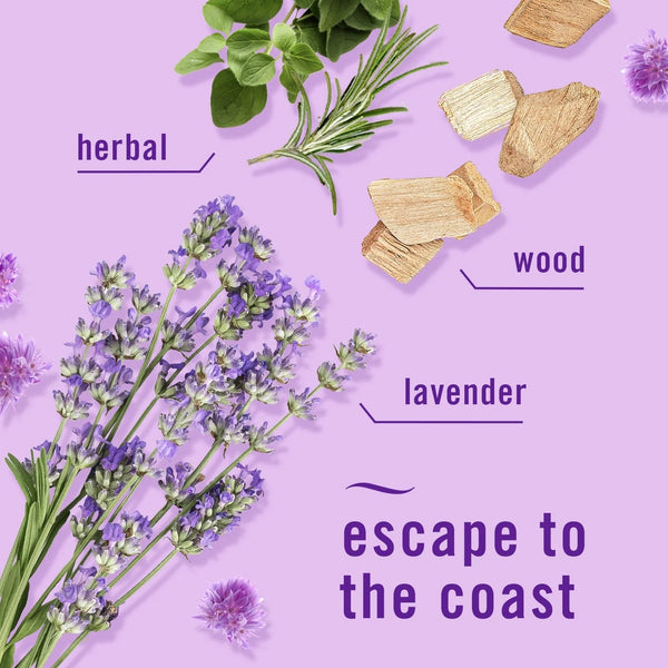 Plug Refill Odor-Fighting Air Freshener Mediterranean Lavender Scent - 1 pack - 2 count per pack - plus 3 My Outlet Mall Resealable Storage Pouches