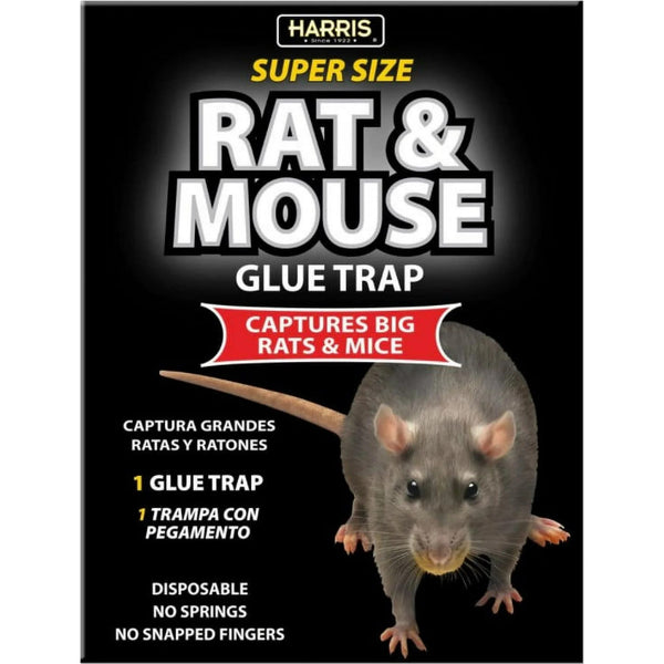 Super-Size Rat and Mouse Glue Trap with Lure and Trap  - 2 packs - plus 3 My Outlet Mall Resealable Storage Pouches