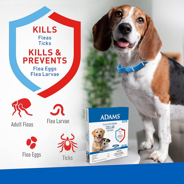 Flea and Tick Control Collar for Dogs and Puppies, 3 pack, 1 Count per pack, plus 3 My Outlet Mall Resealable Storage Pouches