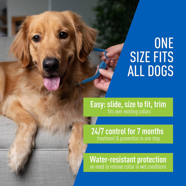 Flea and Tick Control Collar for Dogs and Puppies, 3 pack, 1 Count per pack, plus 3 My Outlet Mall Resealable Storage Pouches