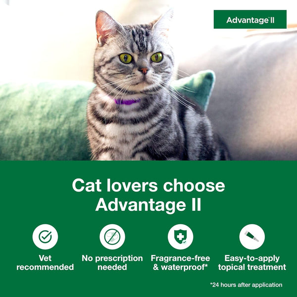 Vet-Recommended Flea Prevention for Large Cats 9 lbs+ 2-Monthly Treatments, 2 pack, 2 Count per pack, plus 3 My Outlet Mall Resealable Storage Pouches