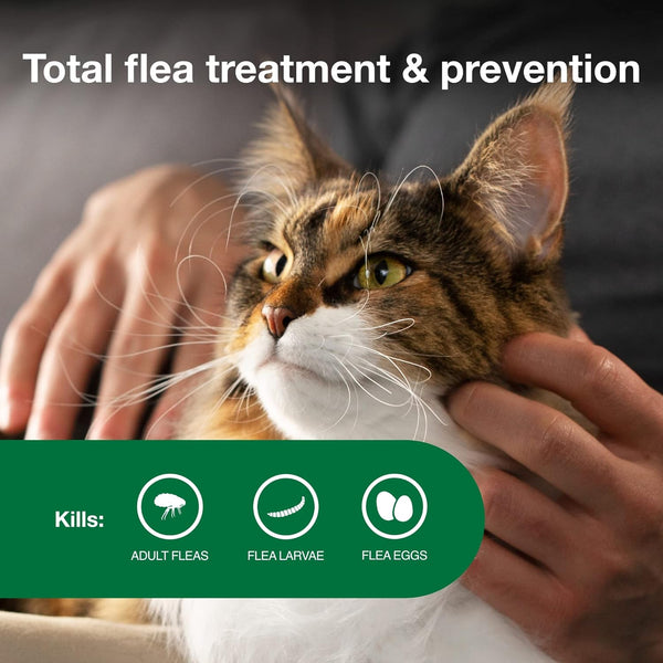 Vet-Recommended Flea Prevention for Large Cats 9 lbs+ 2-Monthly Treatments, 1 pack, 2 Count, plus 3 My Outlet Mall Resealable Storage Pouches