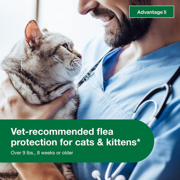 Vet-Recommended Flea Prevention for Large Cats 9 lbs+ 2-Monthly Treatments, 1 pack, 2 Count, plus 3 My Outlet Mall Resealable Storage Pouches