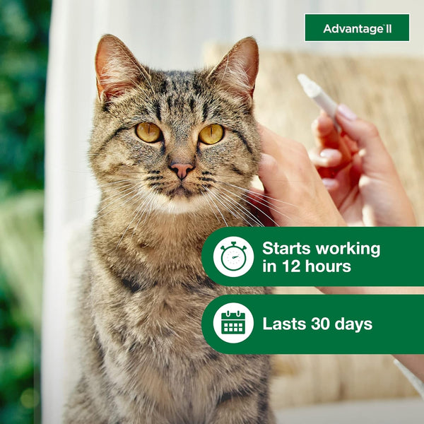 Vet-Recommended Flea Prevention for Large Cats 9 lbs+ 2-Monthly Treatments, 2 pack, 2 Count per pack, plus 3 My Outlet Mall Resealable Storage Pouches