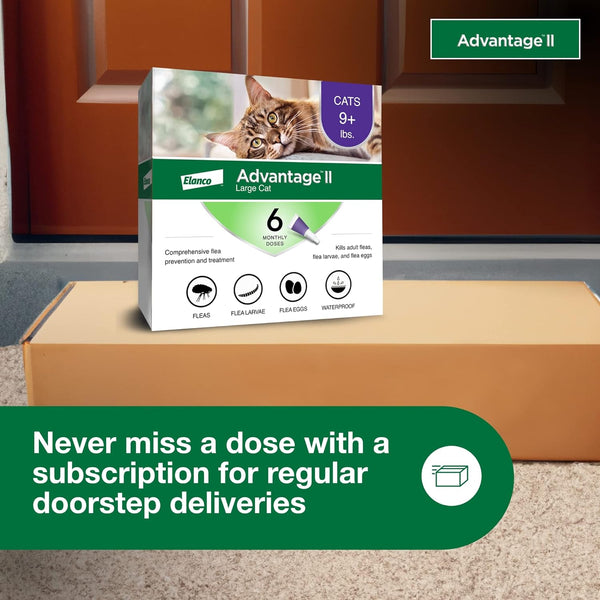Vet-Recommended Flea Prevention for Large Cats 9 lbs+ 2-Monthly Treatments, 1 pack, 2 Count, plus 3 My Outlet Mall Resealable Storage Pouches