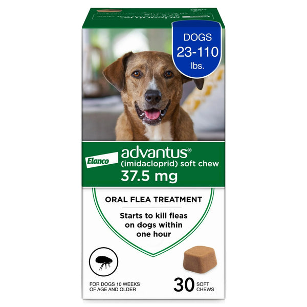 Chewable Flea Treatment for Dogs 23, 110 lbs, 3 pack, 30 Soft Chews per pack, plus 3 My Outlet Mall Resealable Storage Pouches