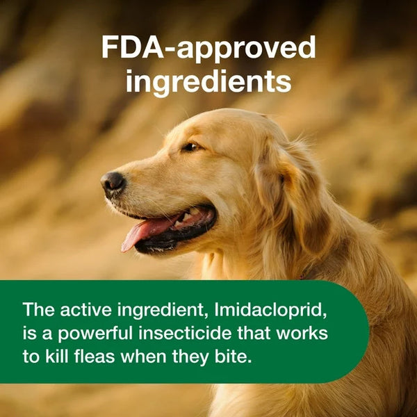Chewable Flea Treatment for Dogs 23, 110 lbs, 2 pack, 30 Soft Chews per pack, plus 3 My Outlet Mall Resealable Storage Pouches
