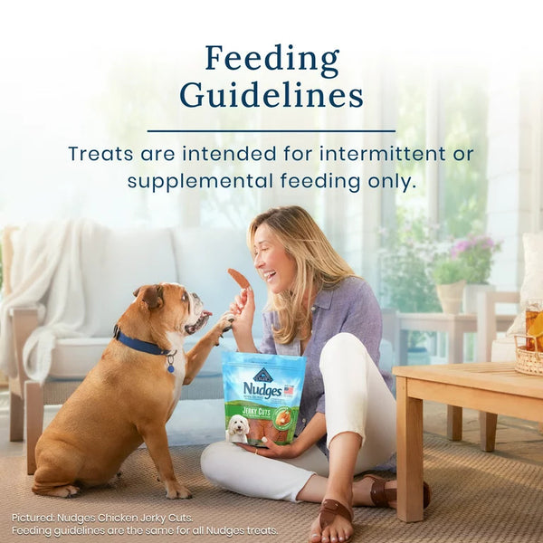 Nudges Jerky Cuts Natural Dog Treats Beef, 2 pack, 16 oz per pack, plus 3 My Outlet Mall Resealable Storage Pouches