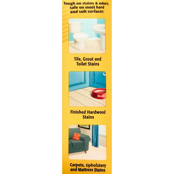 Pet Carpet Stain Remover for Urine Stains and Odors, 2 pack, 24fl oz per pack, plus 3 My Outlet Mall Resealable Storage Pouches