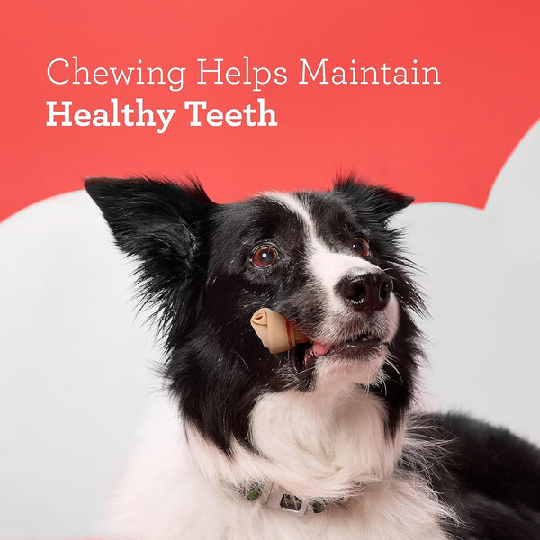 Chicken Flavored Rawhide-Free Dog Chews, Mini - 2 packs - 22.5 oz - plus 3 My Outlet Mall Resealable Storage Pouches