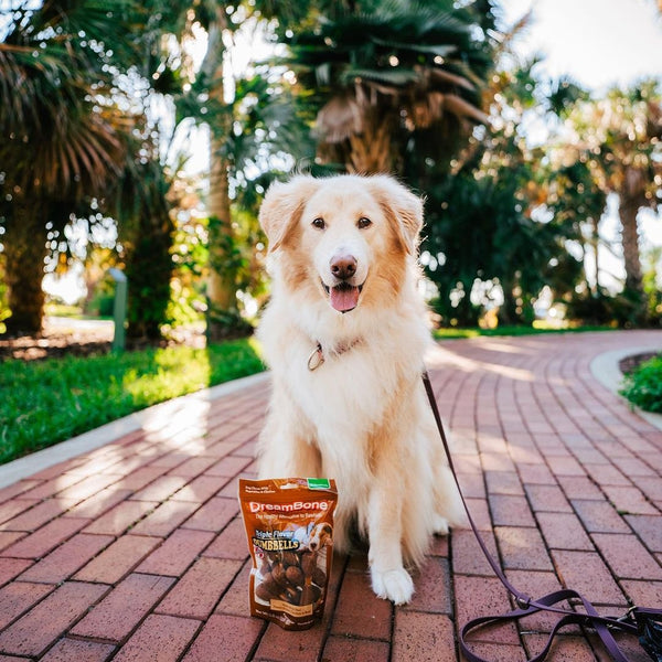 Triple Flavor Dumbbells With Peanut Butter Rawhide-Free Chews For Dogs, 2 pack, 11.8 oz per pack, plus 3 My Outlet Mall Resealable Storage Pouches